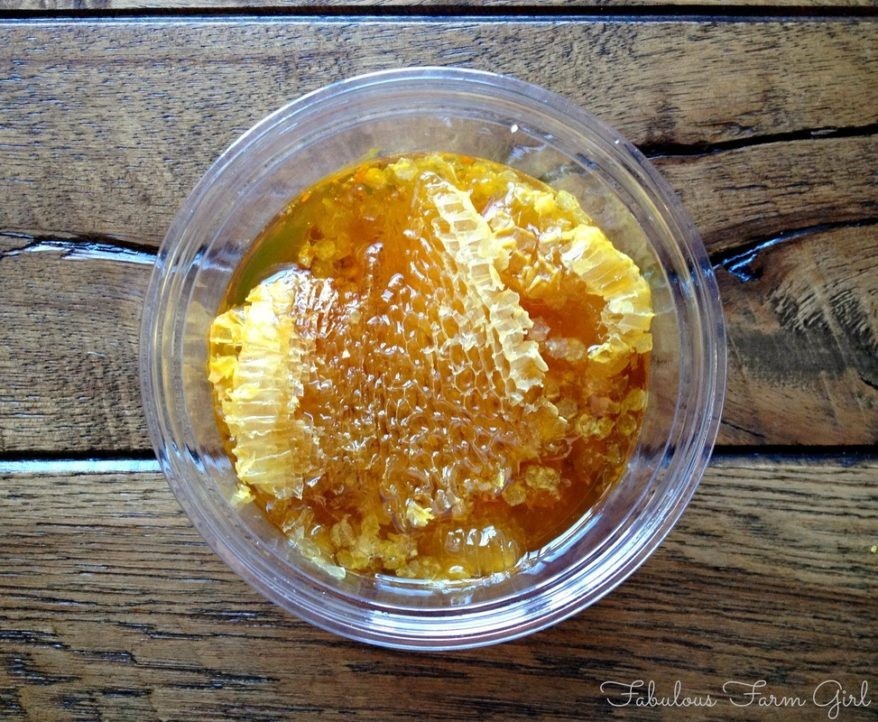  Honey Shirt Bynum Ridge Pittsboro NC